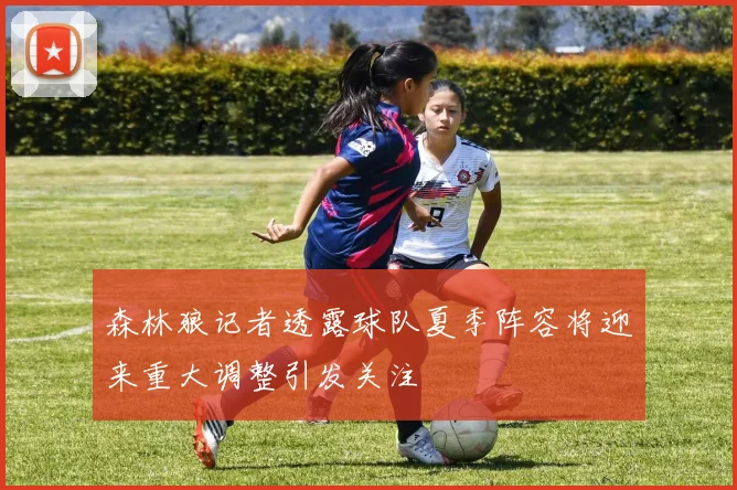 森林狼记者透露球队夏季阵容将迎来重大调整引发关注