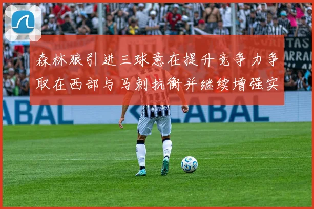 森林狼引进三球意在提升竞争力争取在西部与马刺抗衡并继续增强实力