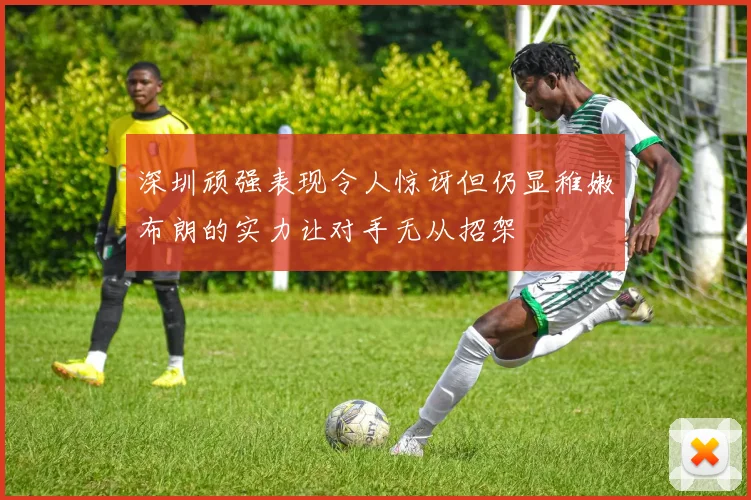 深圳顽强表现令人惊讶但仍显稚嫩布朗的实力让对手无从招架